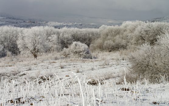 Mount Ridges and Hills with Snowy Trees and  Frozen Snowy Tree Branches on Blue Cloudy Sky background Outdoors