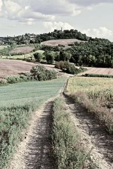 Dirt Road Leading to the Farmhouse in Tuscany, Retro Image Filtered Style