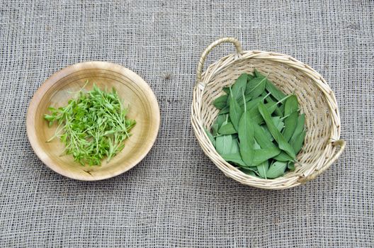 Basil and sage on linen background in wooden bowls  