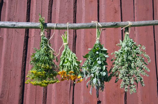 medical herbs bunch  hanging in front of rustic wooden background