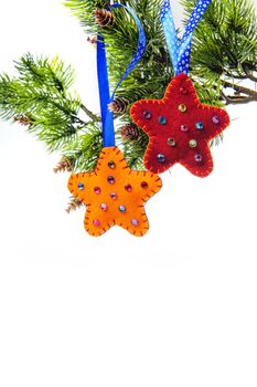 Christmas abstract with star decoration, holly and fir hanging on a pussy willow branch with mistletoe over white background. 