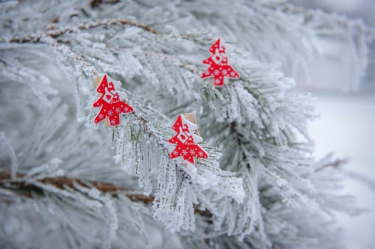 Winter background of snow-covered fir trees decorated