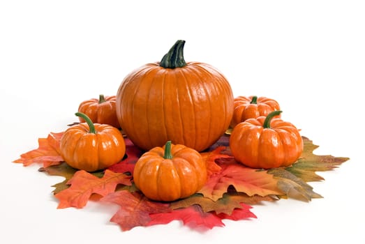 Big pumpkin surrounded by little pumpkins resting on brightly colored Autumn leaves.