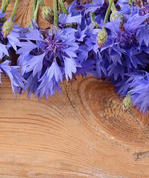 The beautiful cornflower on wooden background close-up