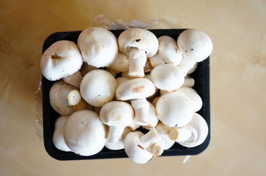 Fresh white champignons in a plastic box