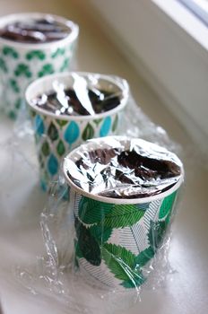 Paper cups with plant ground