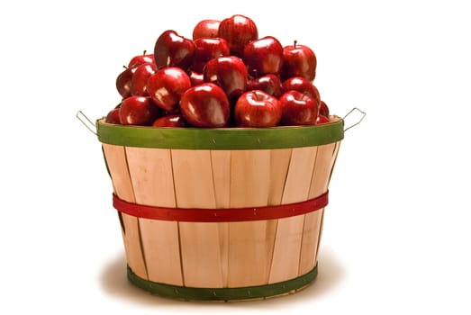 Lit from above, is the large bushel basket full over fresh picked juicy crisp red apples.
