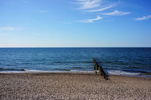 Coast with sand by the sea