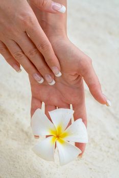 A  nice view of hand with flower.