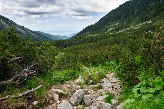 Landscape of Retezat National Park mountains at summer in South Carpatians, Transylvania, Romania, Europe.
