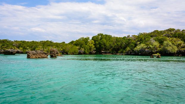 a nice view of Mangroves in zanzibar,Tanzania africa.