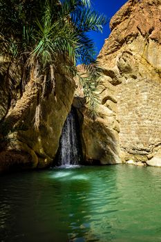 this is chebika's oasi situated near Sahara desert a beautiful waterfall with green water.