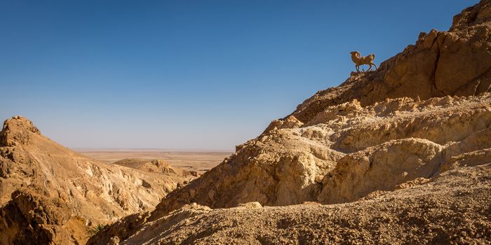 this is a nice view of chebika statue situated inside  the oasis in tunisia,africa.