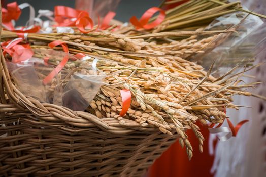 The grain natural and nutritious food, transported here in a typical basket of the peasants of northern Italy.