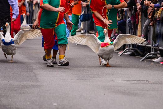 Every year in Lacchiarella is the festival of the goose, where thousands of people from all over Italy come to see the race of geese.