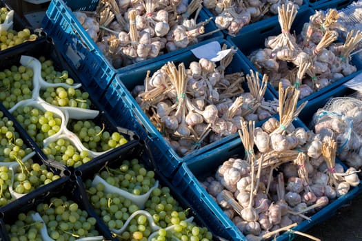 fresh garlic and grapes in a market on road in south moravia region, Czech Republic