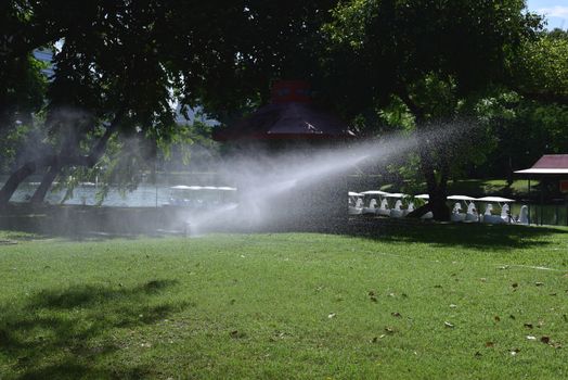 closed up the sprinkler waters grass in park