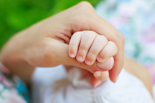 mother's hand holding baby's hand outdoor