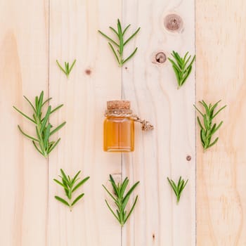 Natural Spa Ingredients rosemary essential oil for aromatherapy with circle of rosemary  leaf on wooden background.