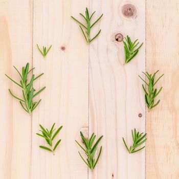 The circle of  rosemary leaf on wooden background for menu design and advertising campaign.