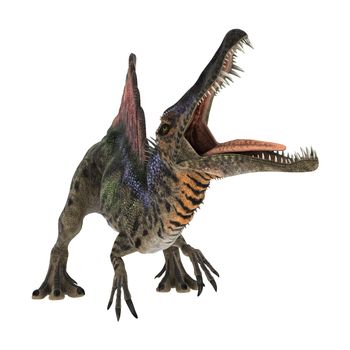 3D digital render of a dinosaur Spinosaurus isolated on white background