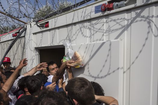 SERBIA, Horgos: A Hungarian policeman distributes some food to refugees waiting at the Serbia-Hungary border after Hungary closed the border crossing on September 16, 2015.****Restriction: Photo is not to be sold in Russia or Asia****