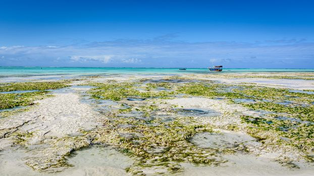 a nice view of Zanzibar beach,Tanzania.