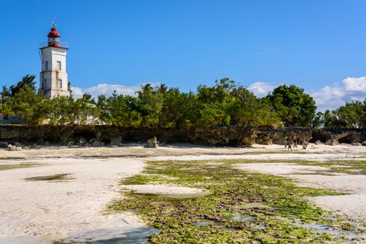 a nice view of Zanzibar beach,Tanzania.