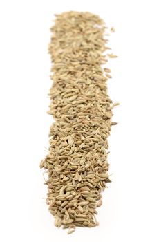 Row of Organic Fennel seed (Foeniculum Vulgare) isolated on white background.