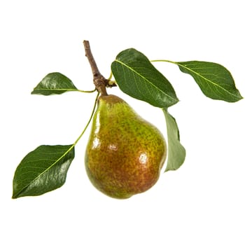 Pear isolated on white background