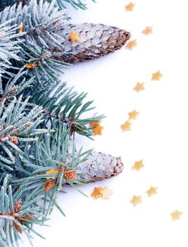 Vertical Frame of Spruce Branch with Hoar-Frost, Decorate Gold Stars and Fir Cone closeup on white background