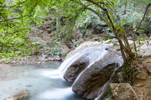 beautiful forest falls in mountains in the summer afternoon, the Crimea, Russia