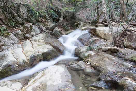 beautiful forest falls in mountains in the summer afternoon, the Crimea, Russia