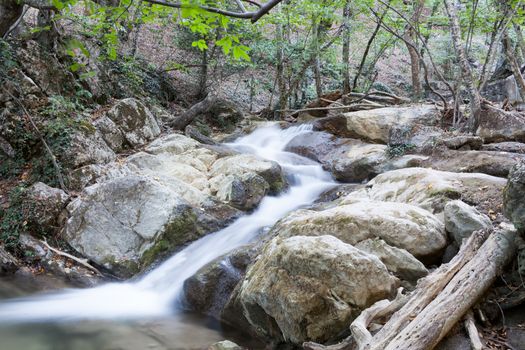 beautiful forest falls in mountains in the summer afternoon, the Crimea, Russia