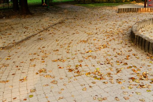 Photo of a sidewalk in the playground at autumn