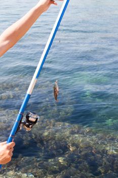 the fish hooked on a hook and hanging on a scaffold against the sea