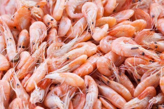 handful beautiful boiled  of sea shrimps on a table