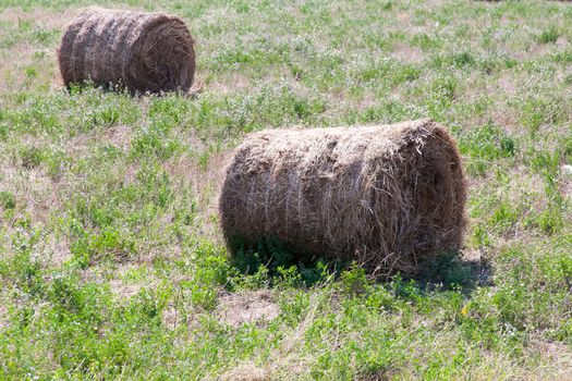 ready a haystack in the field in a clear sunny day