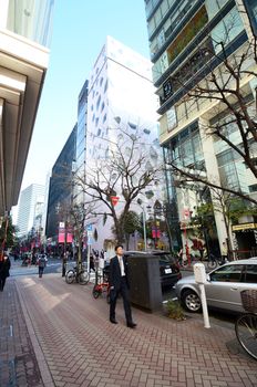 Tokyo, Japan - November 26, 2013: Japanese People at Ginza area on November 26, 2013 in Tokyo. Ginza shopping area. The popular tourist spot in Tokyo. 