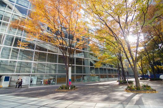 Tokyo, Japan - November 26, 2013: Exterior of Tokyo International Forum on November 26, 2013 in Tokyo Japan. the Forum is one of Tokyo's architectural marvels. Architect Rafael Vinoly won Japan's first international architecture competition with his design.