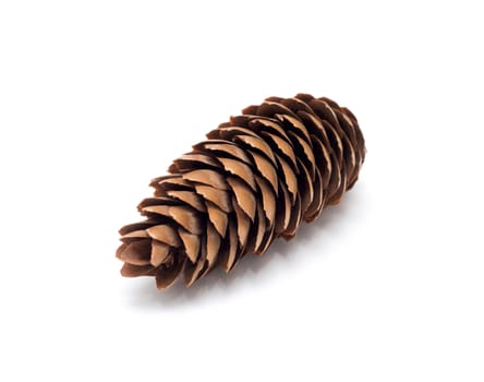 Pine tree cone isolated on white. Christmas decoration.