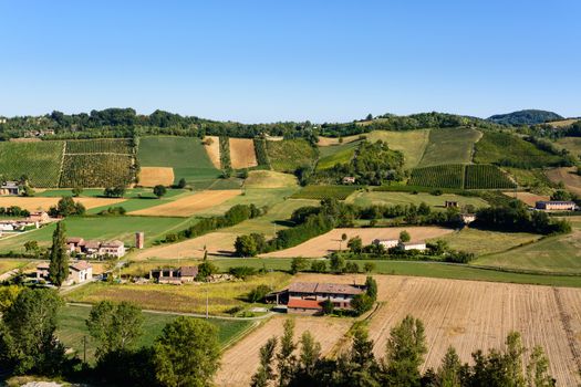 In the picture a beautiful view of the hills of Piacenza (Castell'Arquato) and its vineyards.