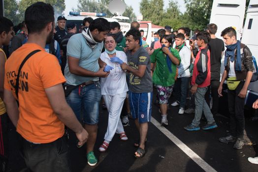 SERBIA, Horgos: An injured woman is helped as Hungarian riot police clash with refugees waiting to cross the border from the Serbian border town of Horgos on September 16, 2015.  