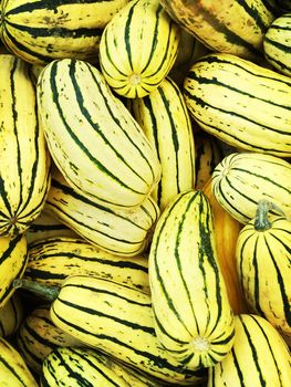 Variety of Delicata squash at the autumn marketplace.