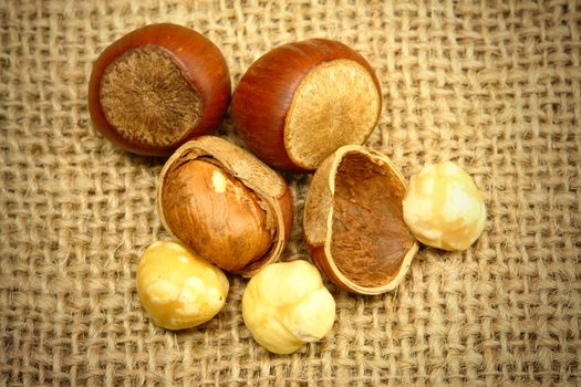 Hazelnuts Closeup