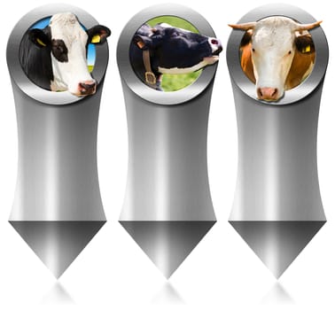 Three vertical metal banners with space for text, head of cow inside a circle. Isolated on white background