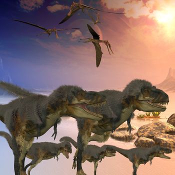 Zhenyuanopterus flying reptiles harass a family of Daspletosaurus dinosaurs crossing a desert.