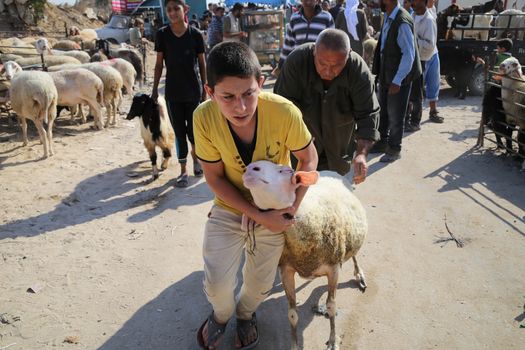 PALESTINE, Gaza: A boy hugs a sheep at the main livestock market in northern Gaza on September 18, 2015 as Palestinians prepare for the upcoming Eid al-Adha festival.Also known as the Festival of Sacrifice, the three-day holiday marks the end of the annual pilgrimage to Mecca and commemorates the willingness of the Prophet Ibrahim (Abraham to Christians and Jews) to sacrifice his son, Ismail, on God's command. 