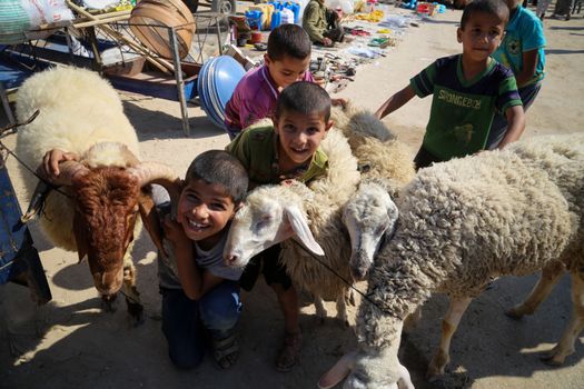 PALESTINE, Gaza: Children pose for a picture with sheep at the main livestock market in northern Gaza on September 18, 2015 as Palestinians prepare for the upcoming Eid al-Adha festival.Also known as the Festival of Sacrifice, the three-day holiday marks the end of the annual pilgrimage to Mecca and commemorates the willingness of the Prophet Ibrahim (Abraham to Christians and Jews) to sacrifice his son, Ismail, on God's command. 
