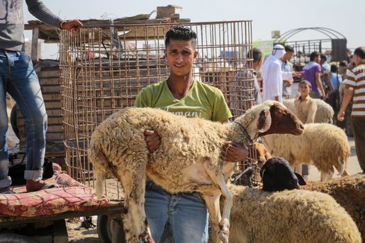 PALESTINE, Gaza: A man lifts up a sheep to pose for a picture at the main livestock market in northern Gaza on September 18, 2015 as Palestinians prepare for the upcoming Eid al-Adha festival.Also known as the Festival of Sacrifice, the three-day holiday marks the end of the annual pilgrimage to Mecca and commemorates the willingness of the Prophet Ibrahim (Abraham to Christians and Jews) to sacrifice his son, Ismail, on God's command. 